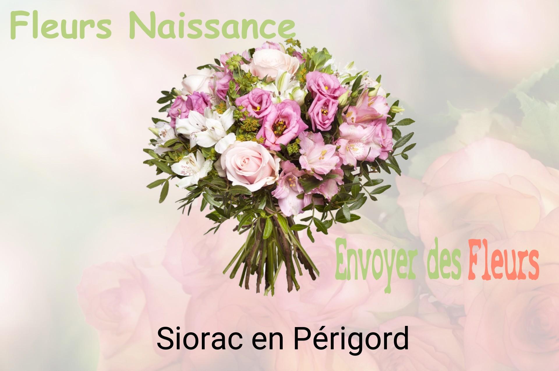 Bouquet de fleurs de naissance livré à Siorac-en-Périgord