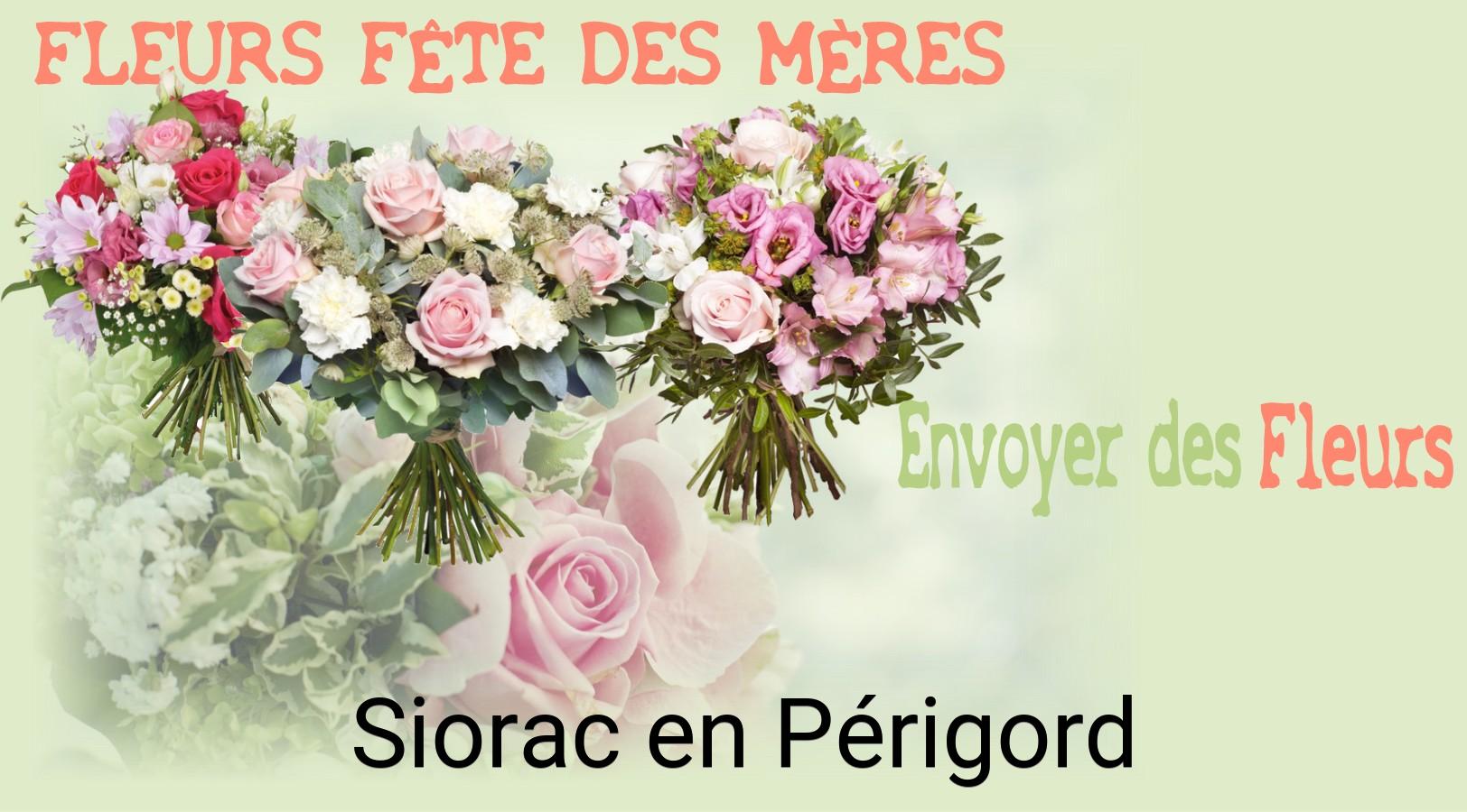 Bouquet de Fête des Mères livré à Siorac-en-Périgord